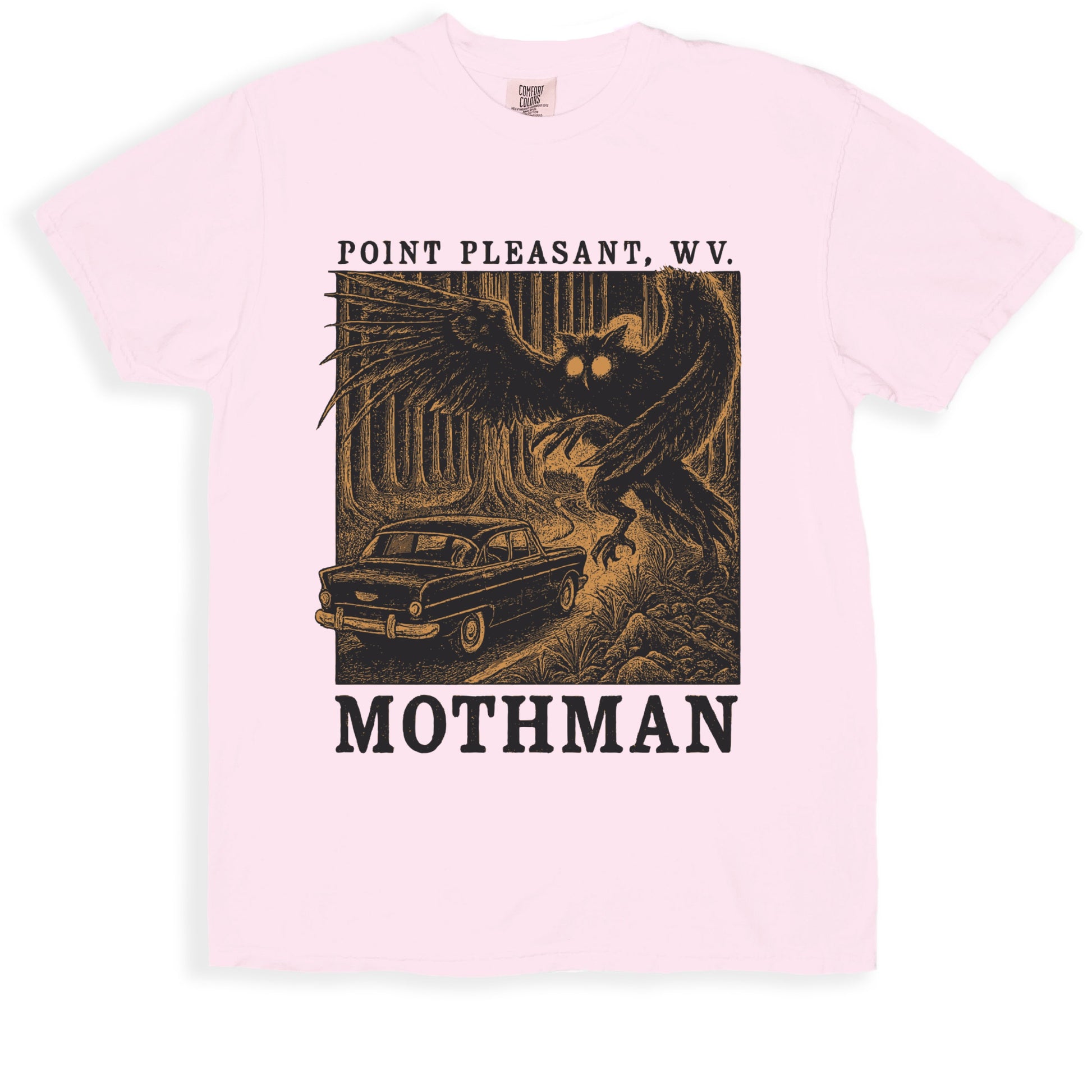 Point Pleasant WV Mothman themed graphic t-shirt product type