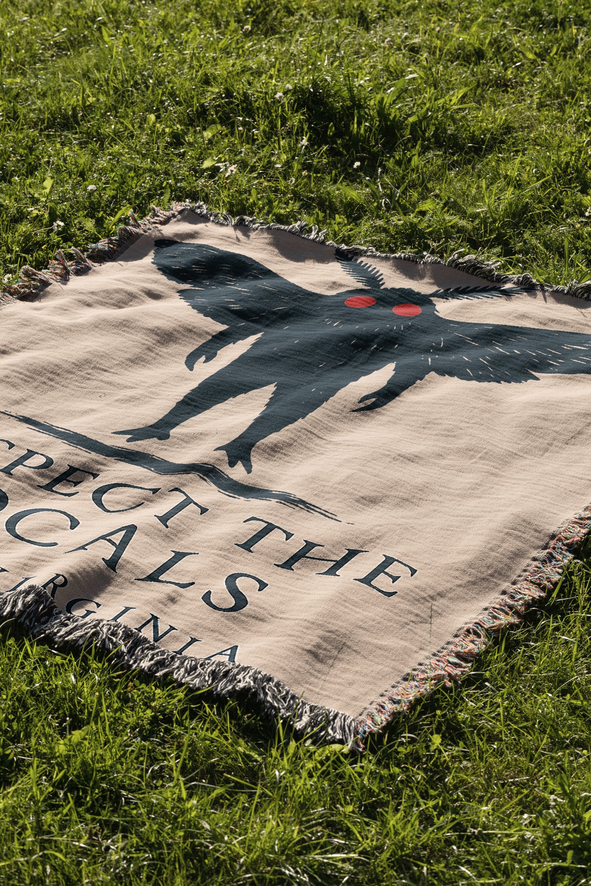 Respect The Locals Virginia Blanket product type